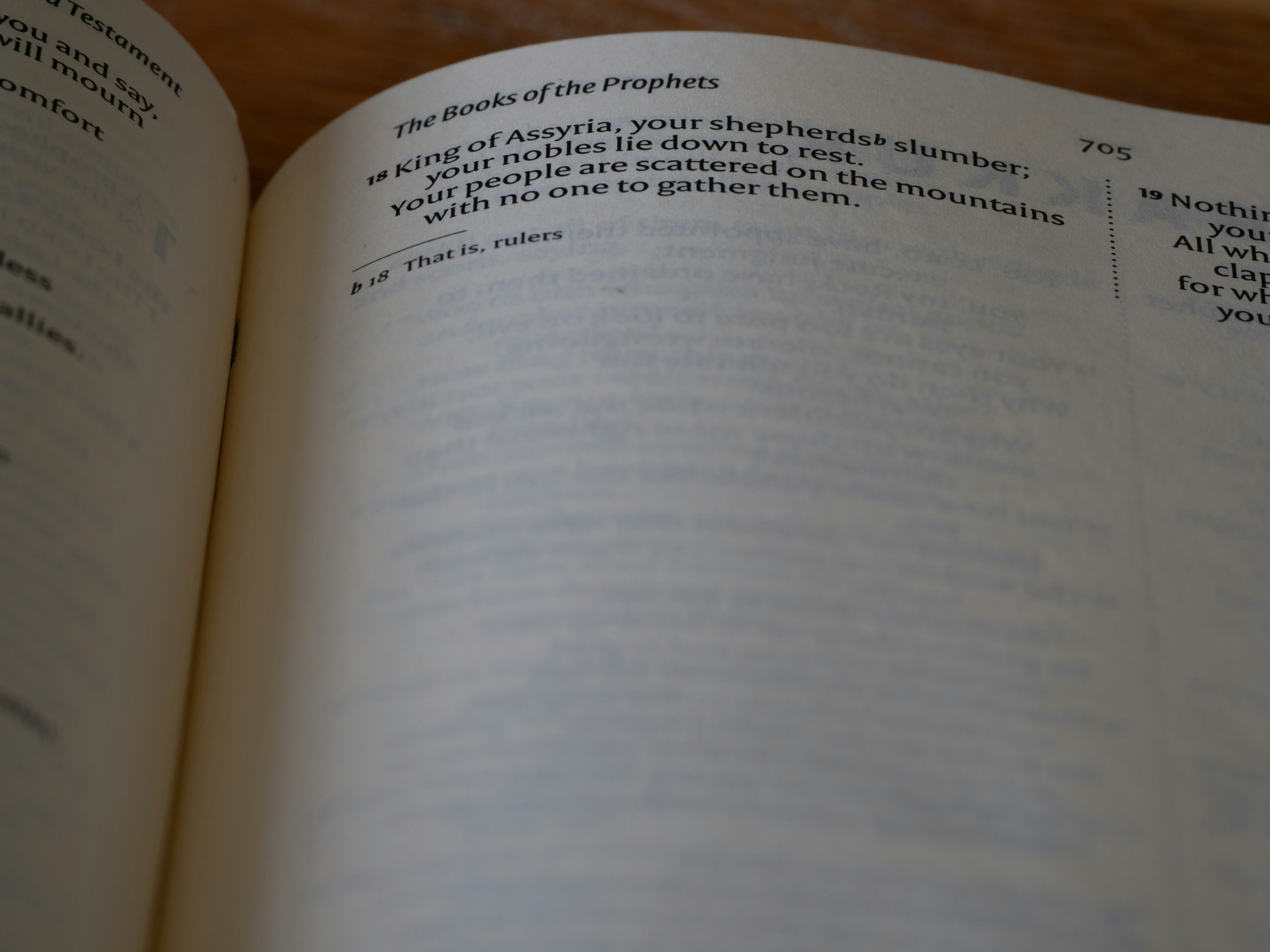 close up, bokeh, macro, blur, blurred background, close focus, bible, old testament, hebrew bible, christian, judaism, history, text, reading, bible study, devotions, New International Version, type, typography, canon, christianity, scripture, old testament, hebrew bible, nahum, comforter, assyrian empire, nineveh, minor prophet,